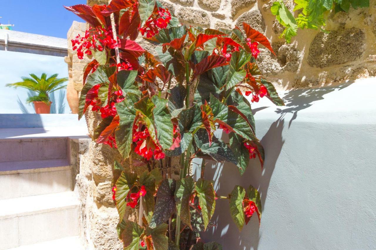 Colours - Old Town - Studios Rhodes City Εξωτερικό φωτογραφία